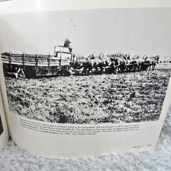 Vintage Circus Baggage Stock Percheron Horse Charles Philip Fox HC 1st Ed 1983 - Picture 14 of 16